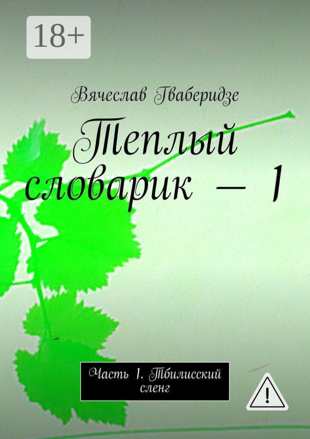 Обложка книги «Теплый словарик — 1. Часть 1. Тбилисский сленг»