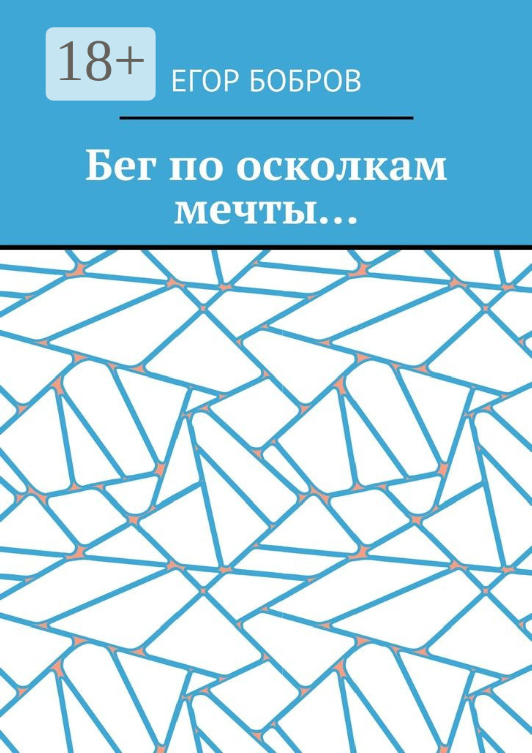 Обложка книги «Бег по осколкам мечты…»