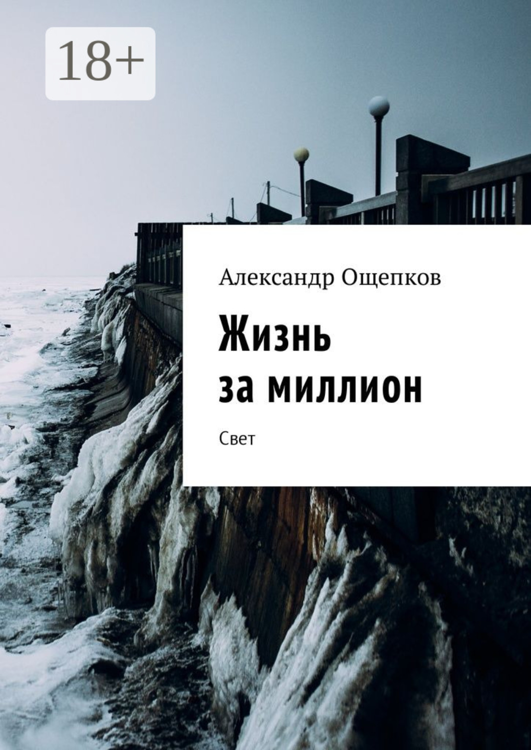 Обложка книги «Жизнь за миллион. Свет»