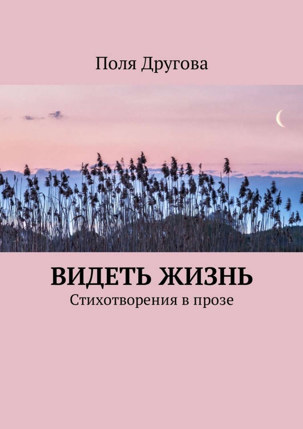 Обложка книги «Видеть жизнь. Стихотворения в прозе»