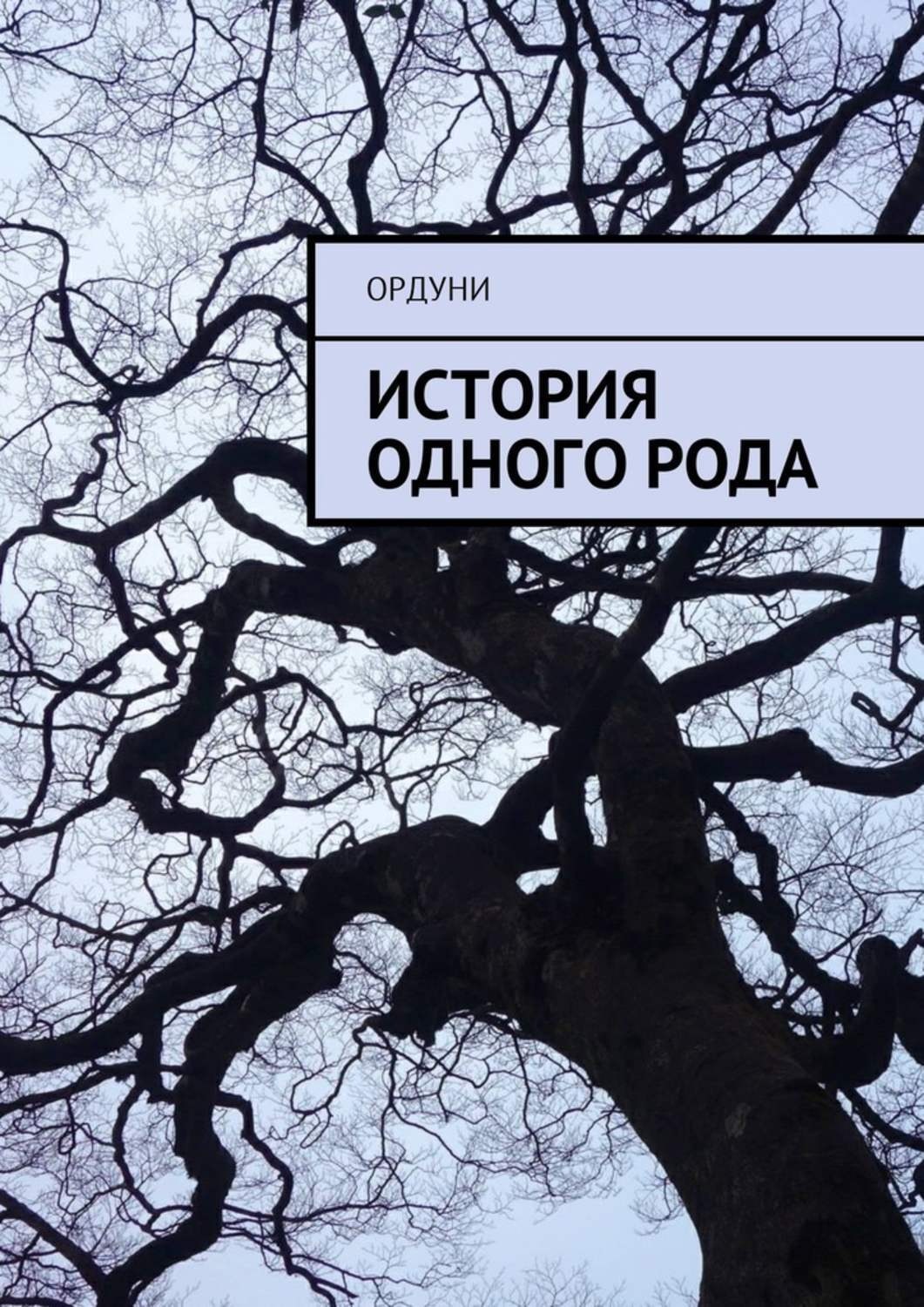 Обложка книги «История одного рода»