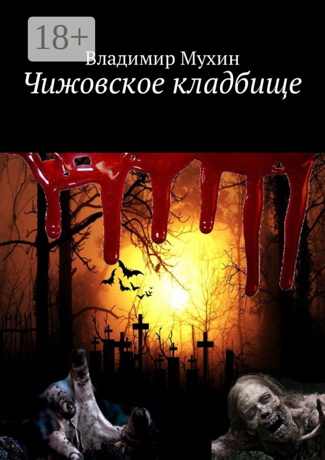Обложка книги «Чижовское кладбище»