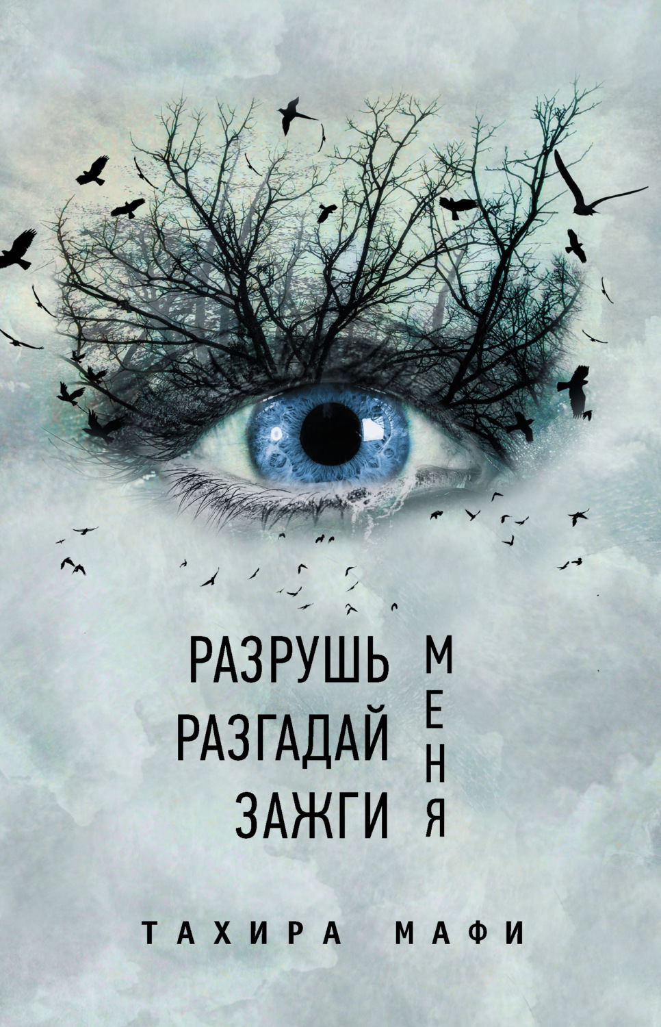 Обложка книги «Разрушь меня. Разгадай меня. Зажги меня»
