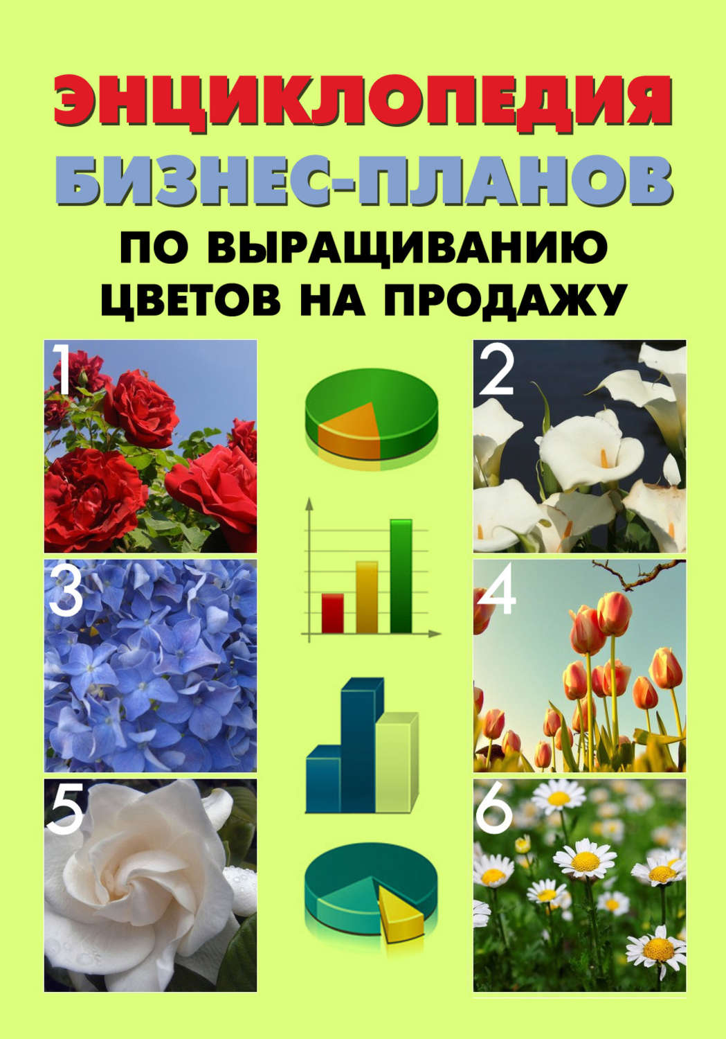 Обложка книги «Энциклопедия бизнес-планов по выращиванию цветов на продажу»