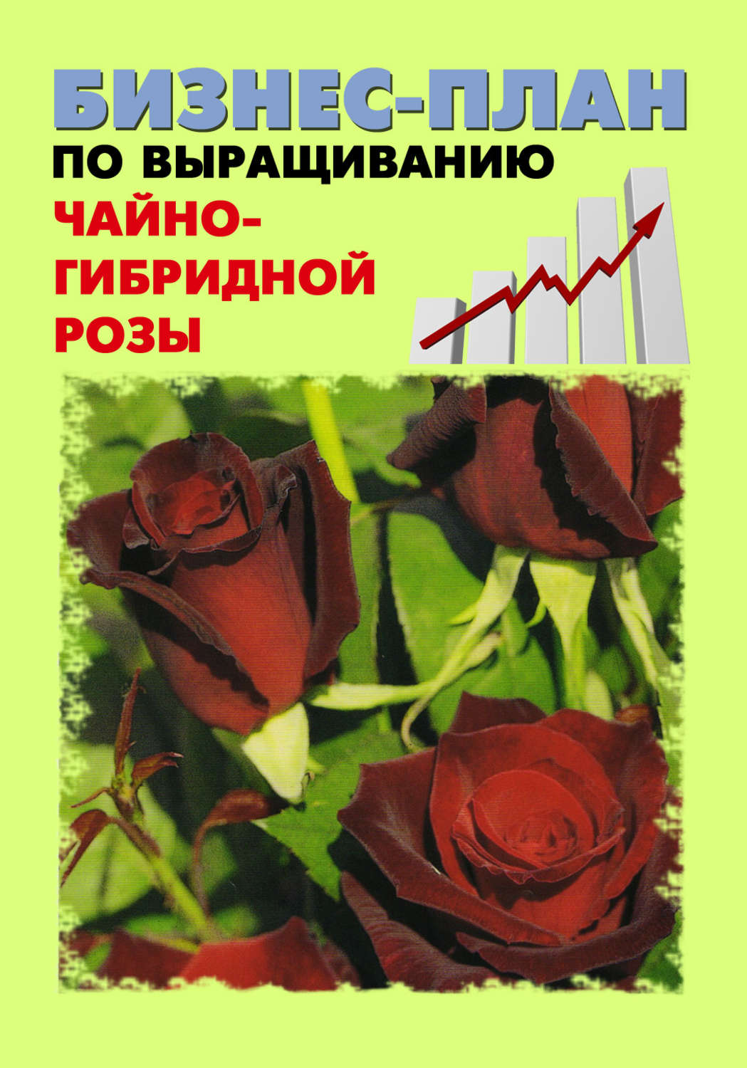 Обложка книги «Бизнес-план по выращиванию чайно-гибридной розы»