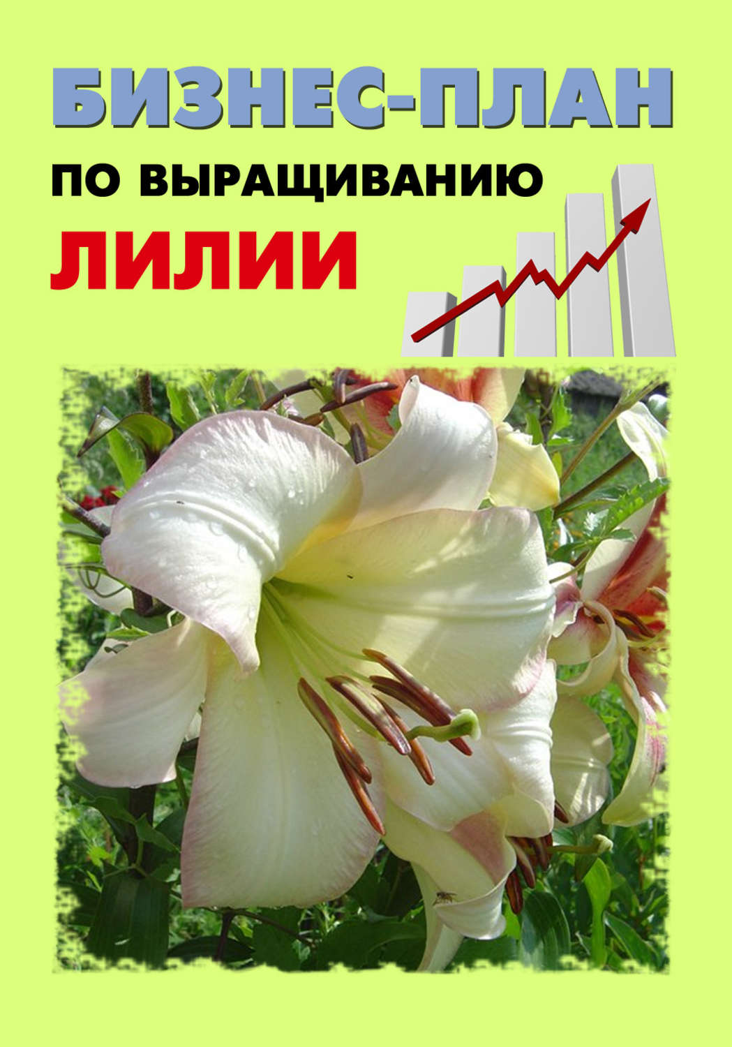 Обложка книги «Бизнес-план по выращиванию лилии»