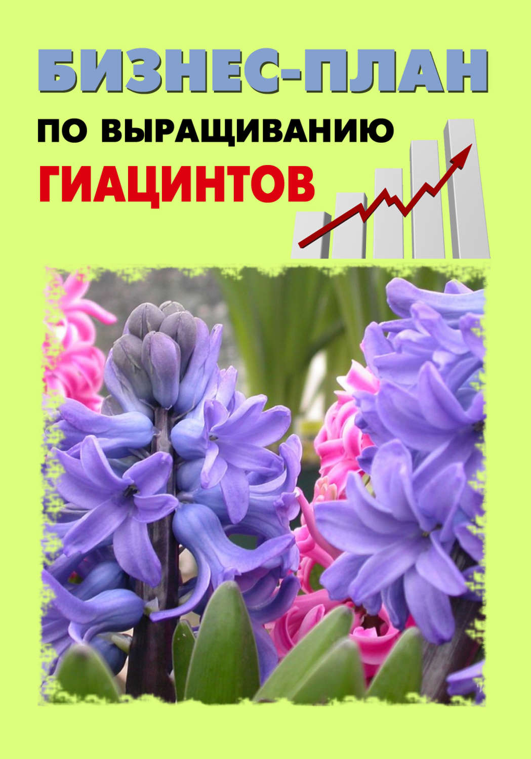 Обложка книги «Бизнес-план по выращиванию гиацинтов»