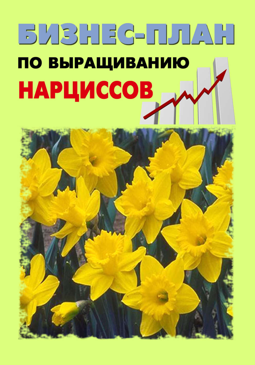 Обложка книги «Бизнес-план по выращиванию нарциссов»