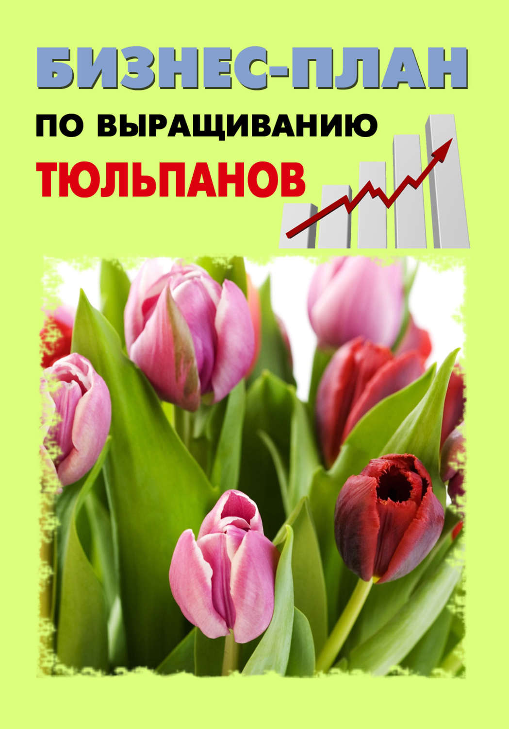 Обложка книги «Бизнес-план по выращиванию тюльпанов»
