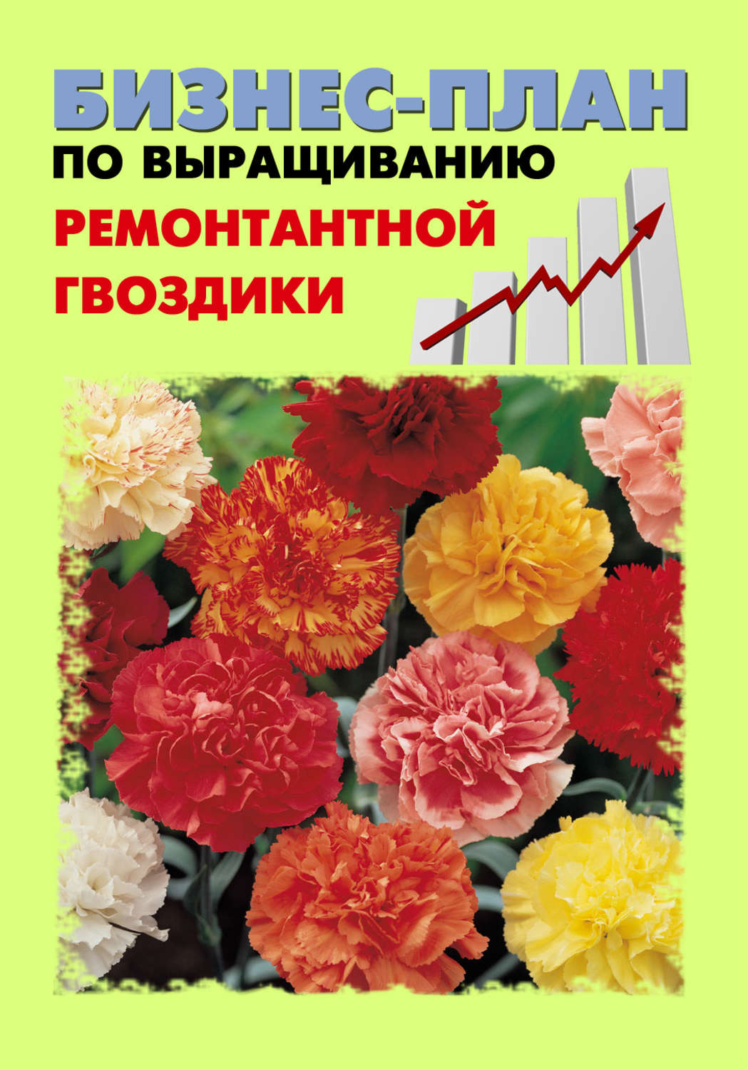 Обложка книги «Бизнес-план по выращиванию ремонтантной гвоздики»
