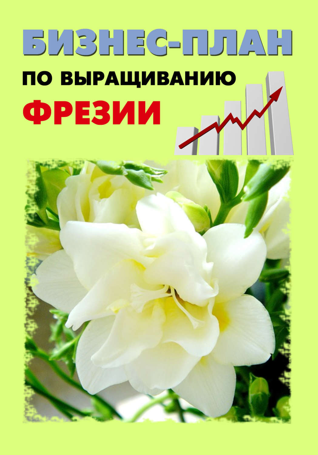 Обложка книги «Бизнес-план по выращиванию фрезии»