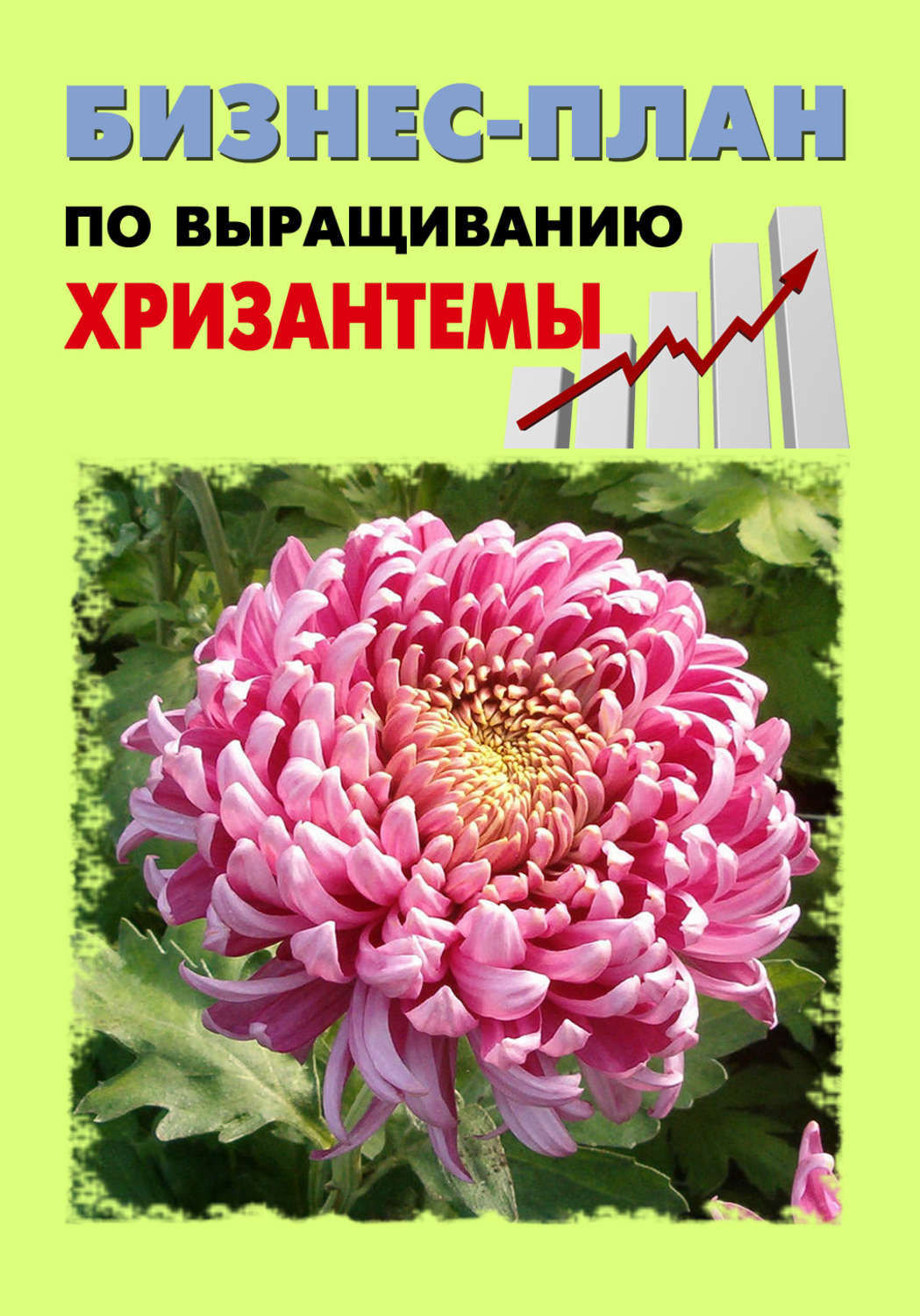 Обложка книги «Бизнес-план по выращиванию хризантемы»