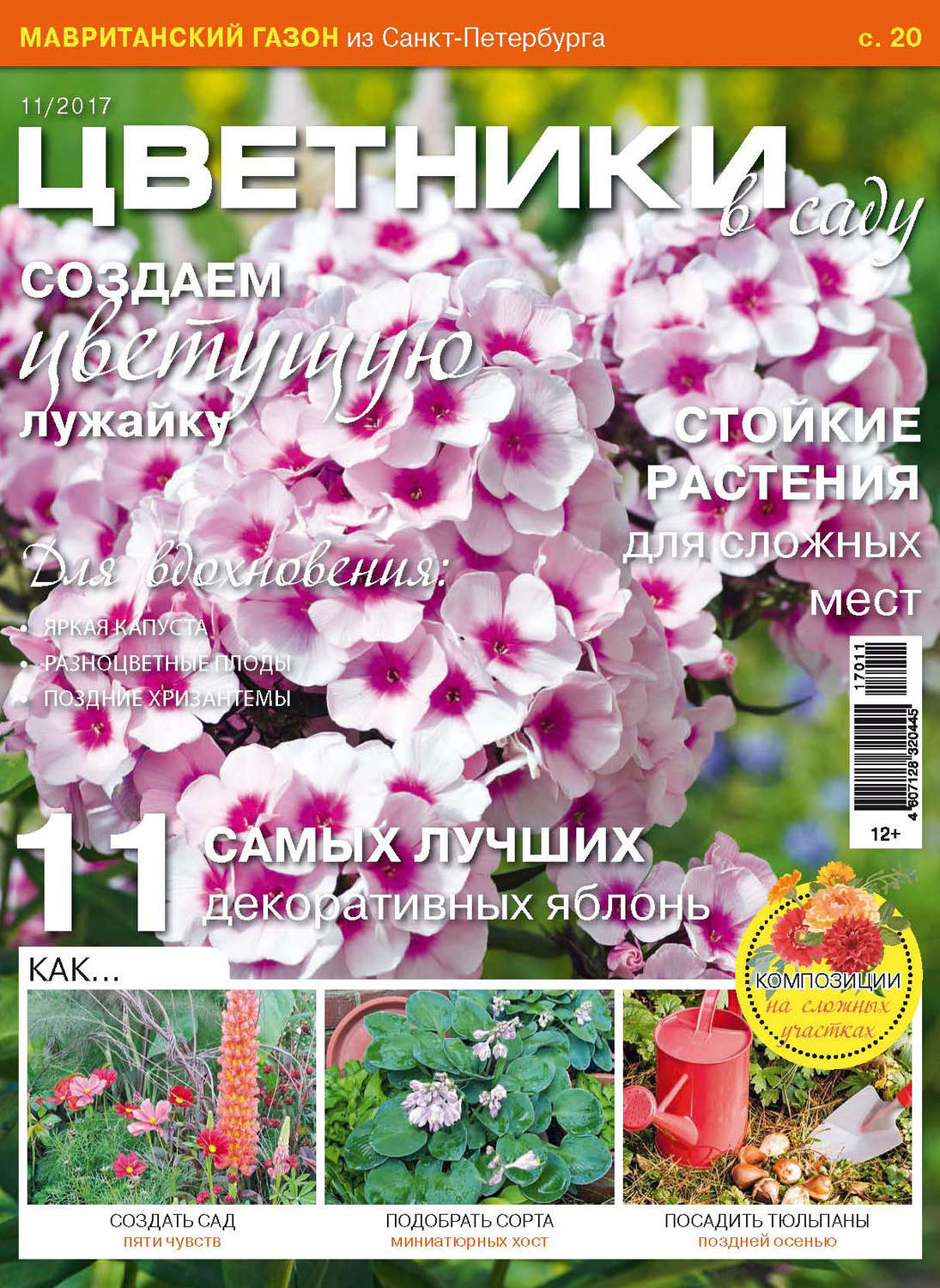 Обложка книги «Цветники в саду №11/2017»