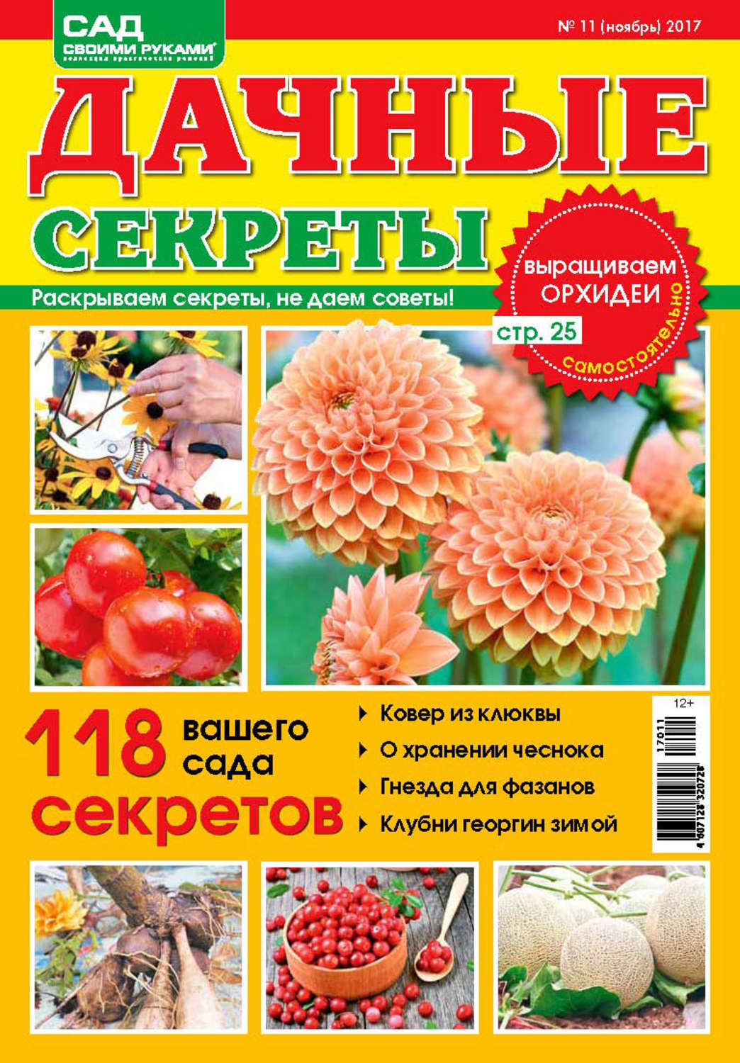 Обложка книги «Сад своими руками. Дачные секреты №11/2017»