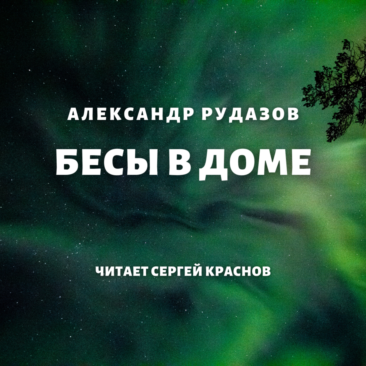 Обложка книги «Бесы в доме»