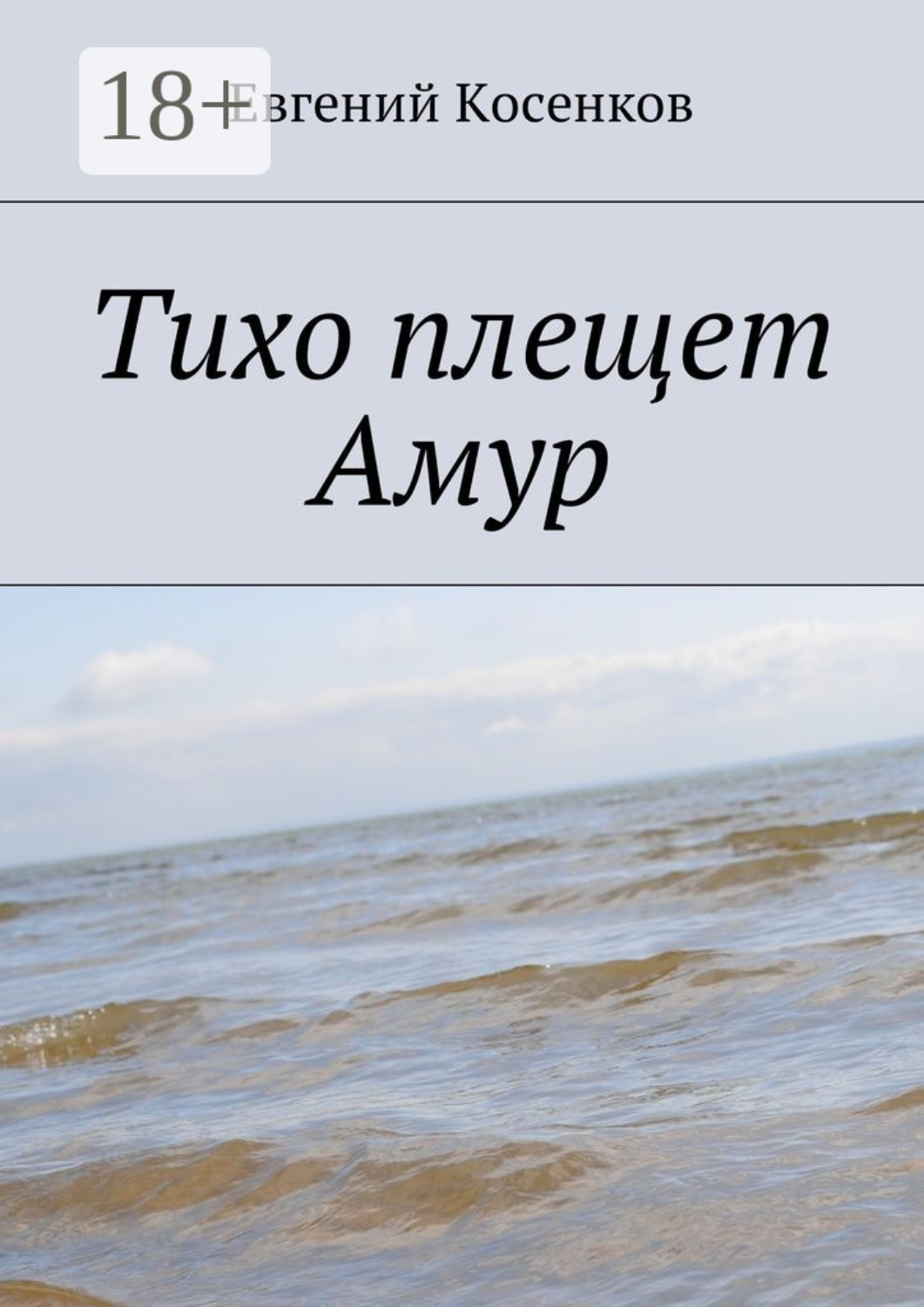 Обложка книги «Тихо плещет Амур»