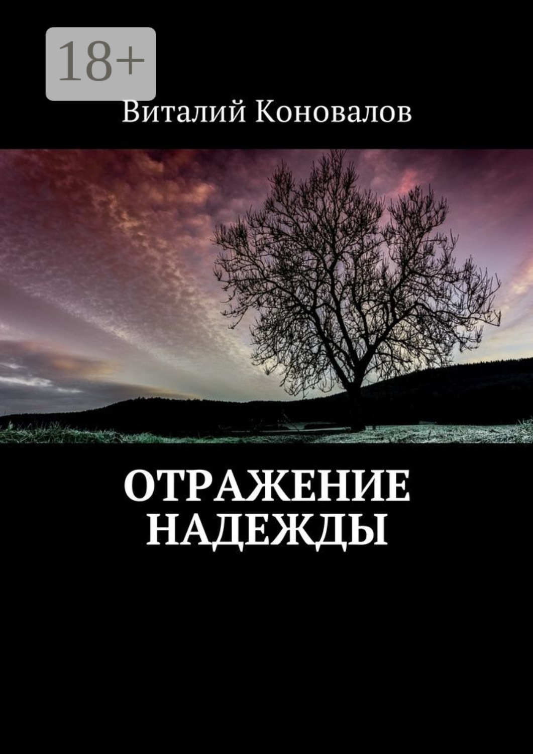 Обложка книги «Отражение надежды»