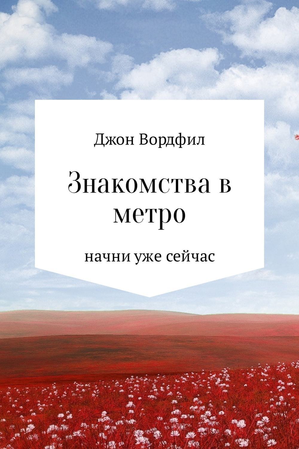 Обложка книги «Знакомства в Метро»