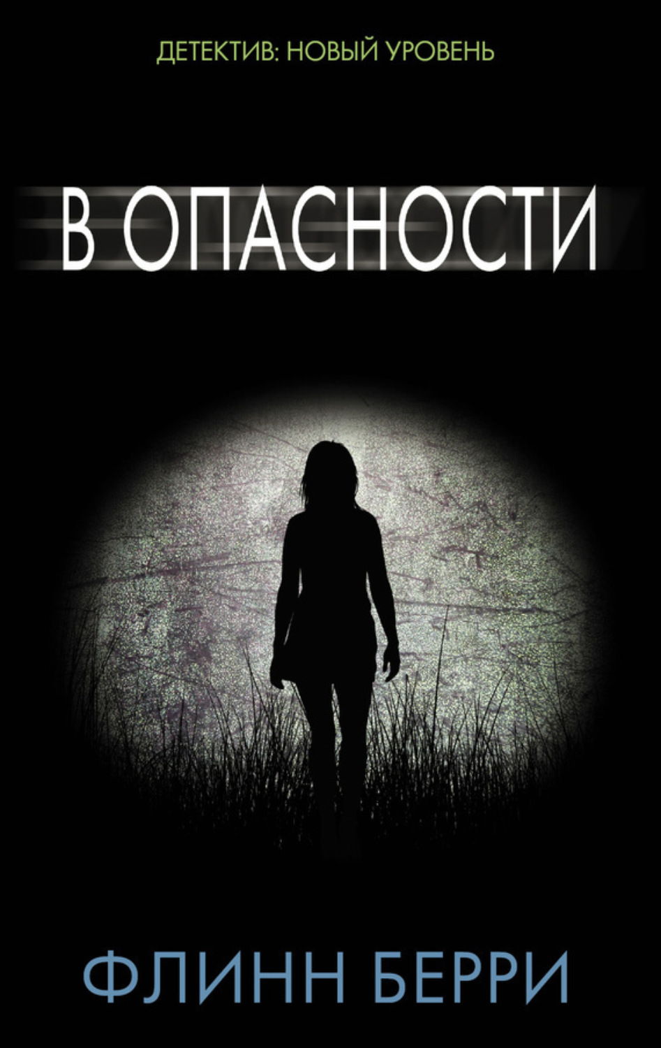 Обложка книги «В опасности»