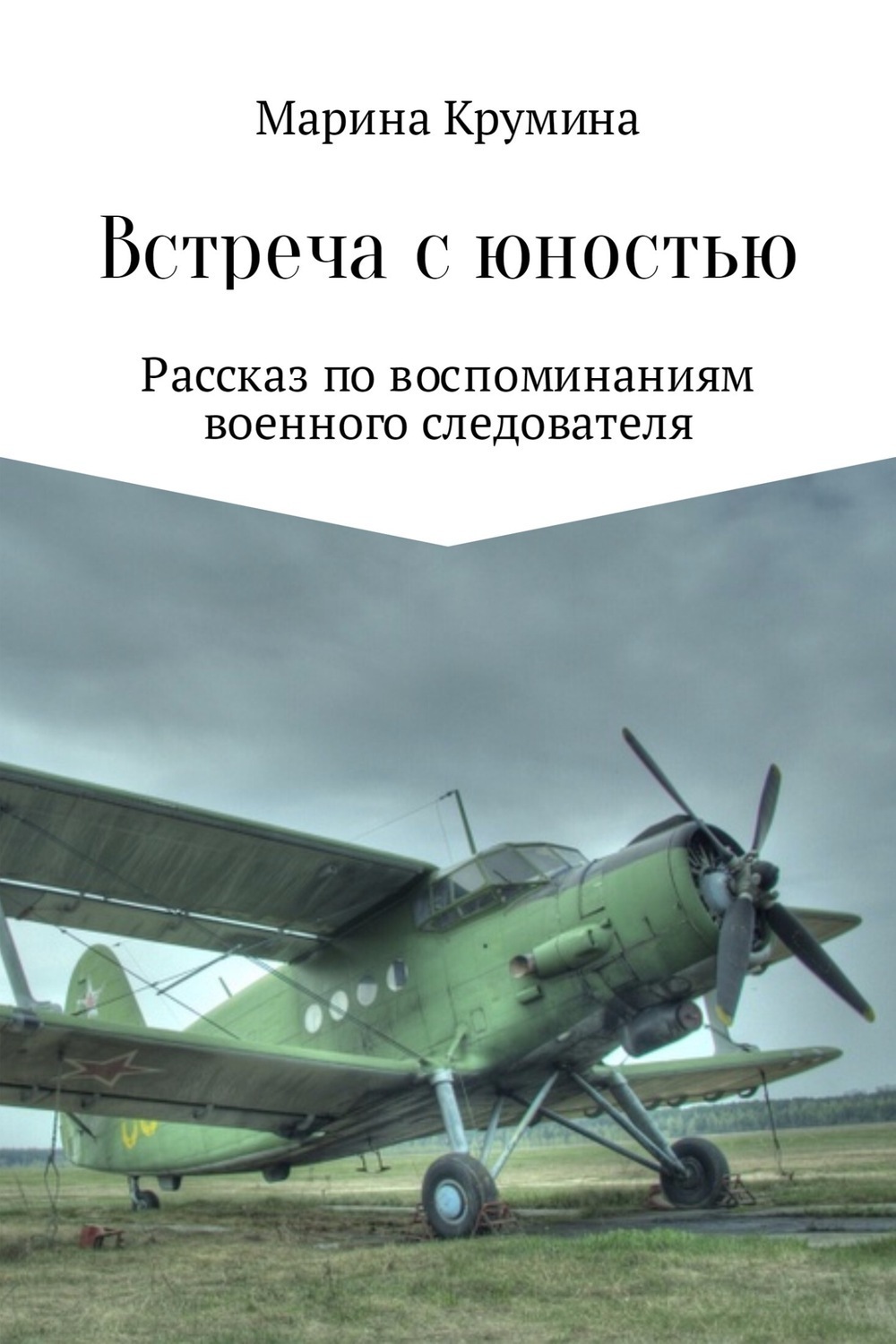 Обложка книги «Встреча с юностью»