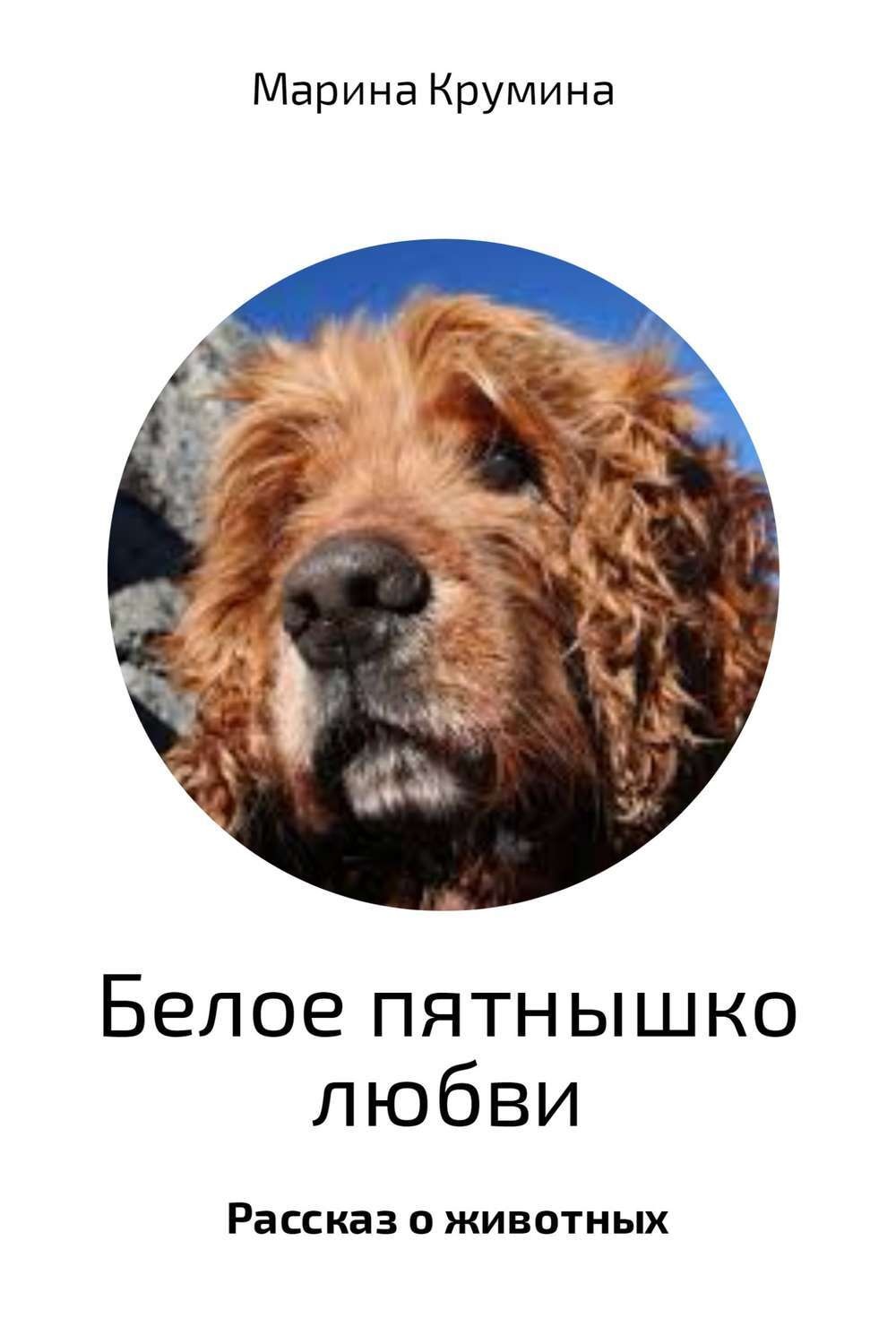 Обложка книги «Белое пятнышко любви»