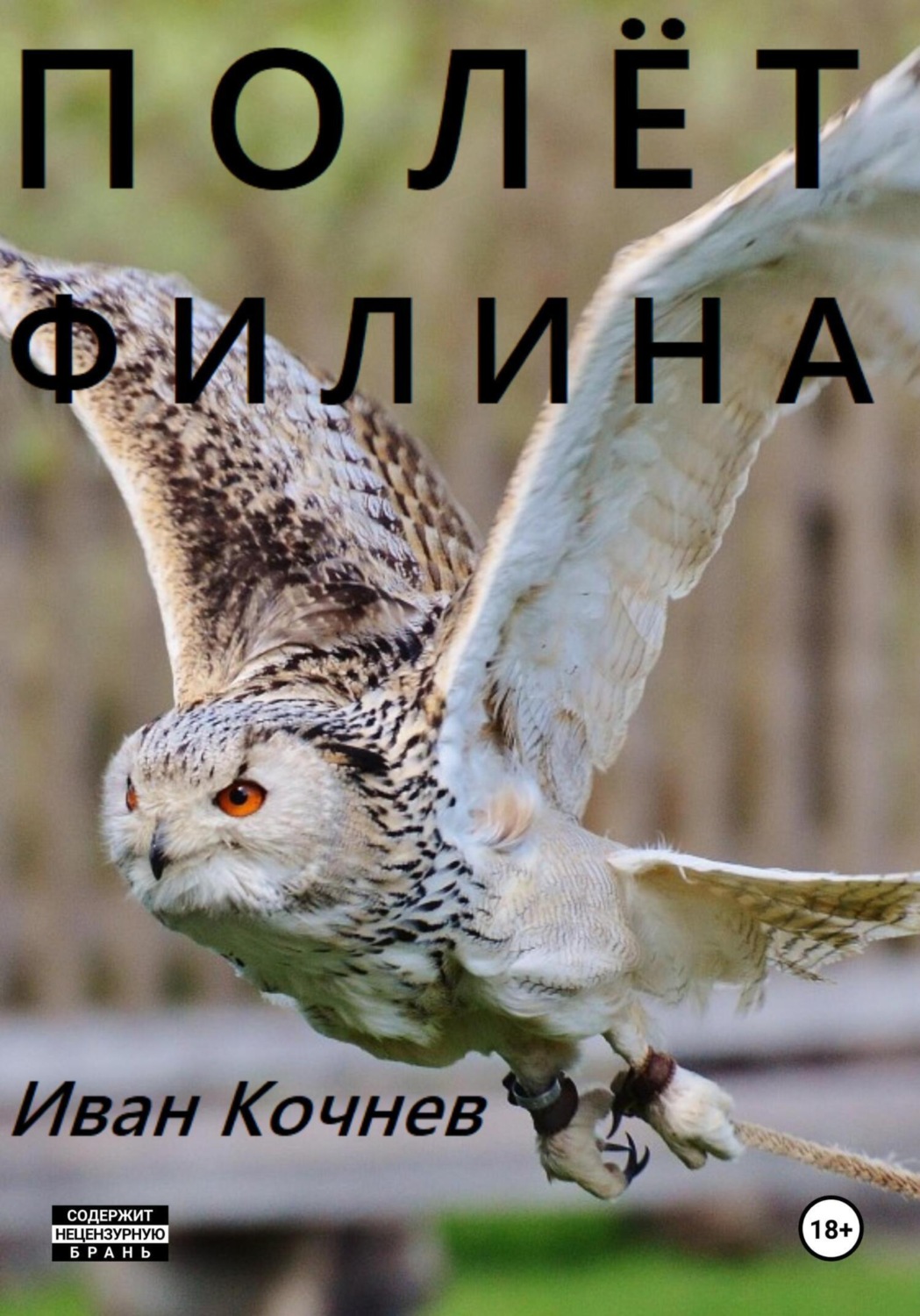 Обложка книги «Полёт Филина»