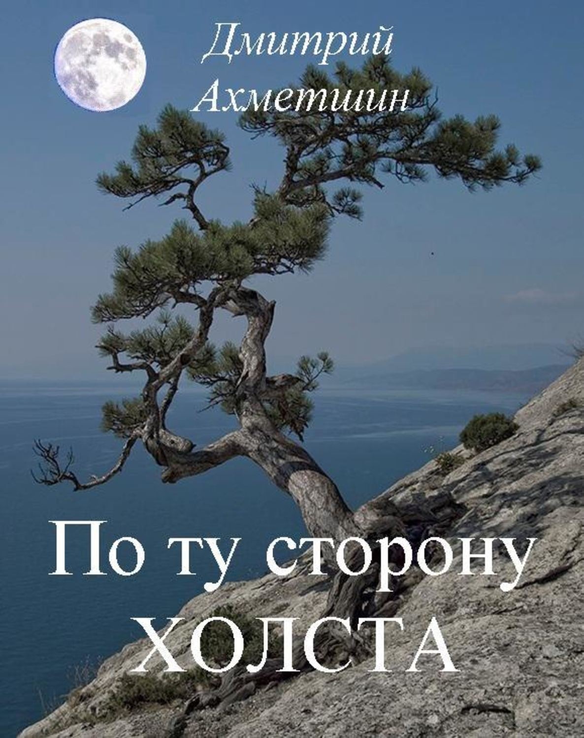 Обложка книги «По ту сторону холста»
