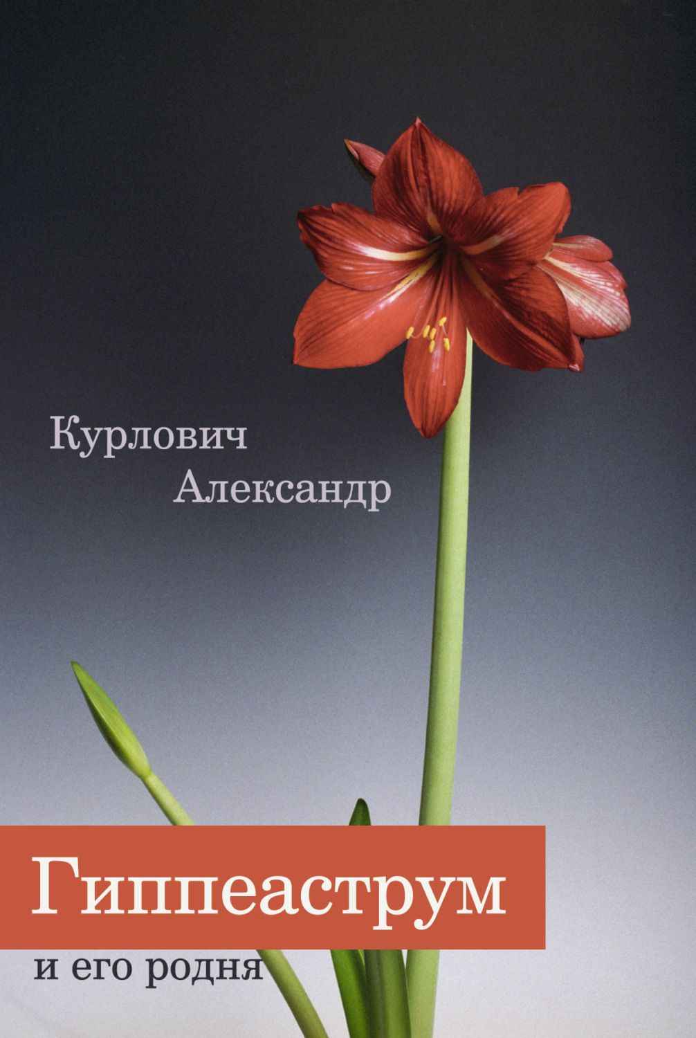 Обложка книги «Гиппеаструм и его родня»