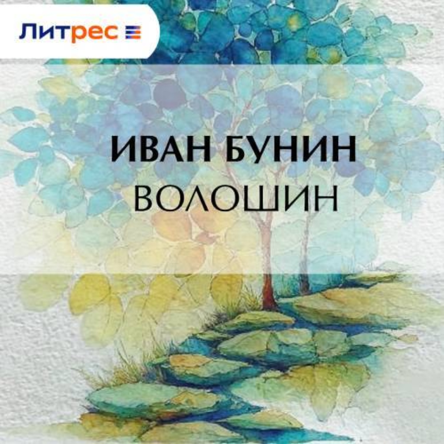 Обложка книги «Волошин»