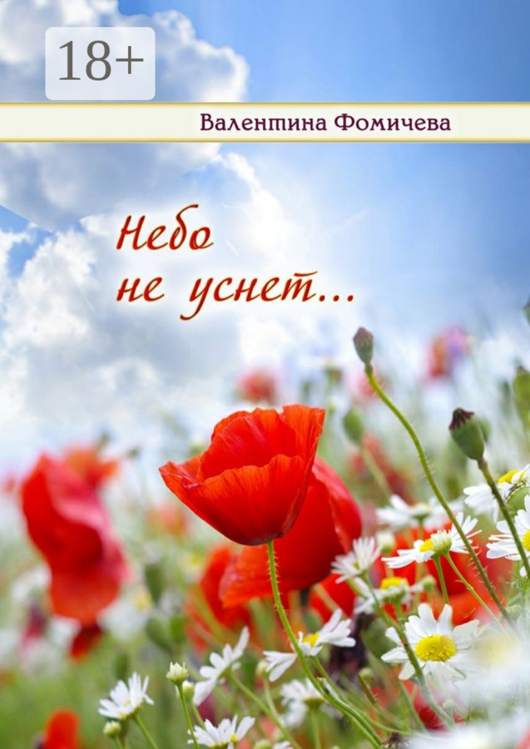 Обложка книги «Небо не уснет…»