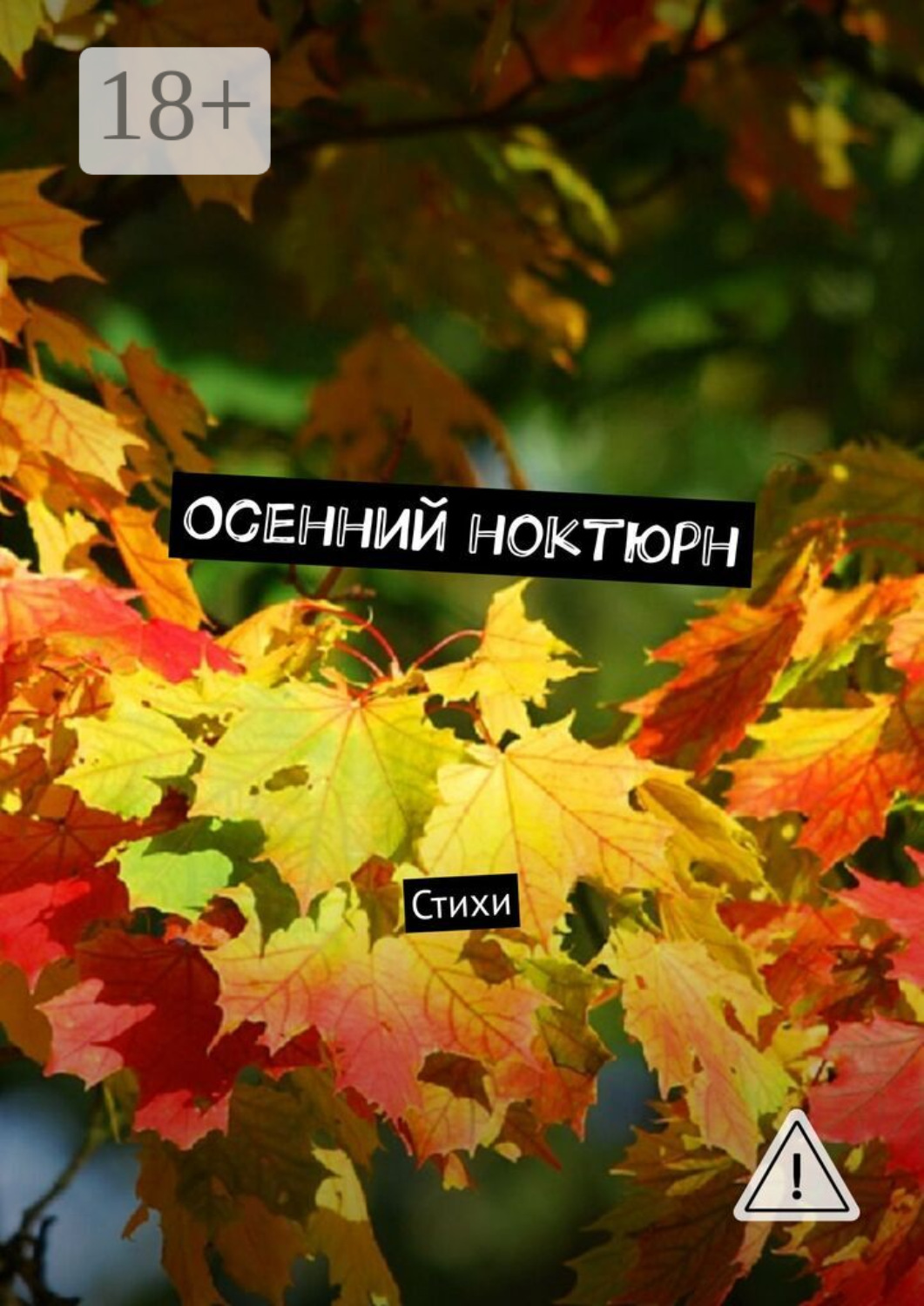 Обложка книги «Осенний ноктюрн. Стихи»