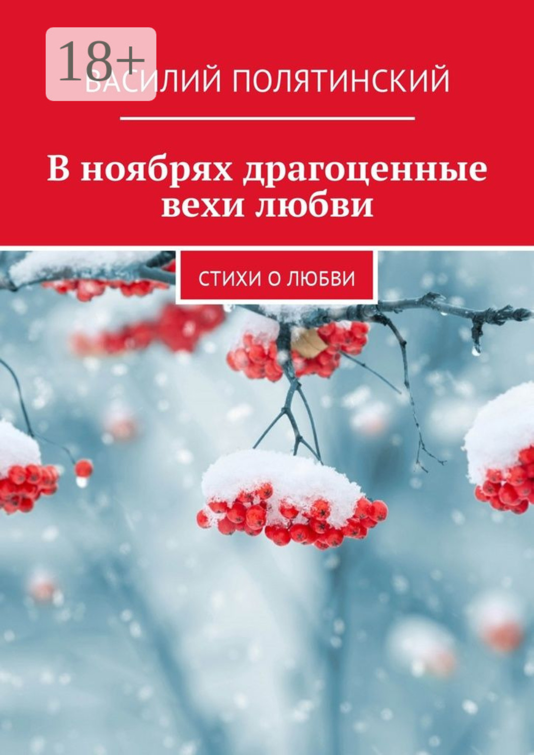 Обложка книги «В ноябрях драгоценные вехи любви. Стихи о любви»