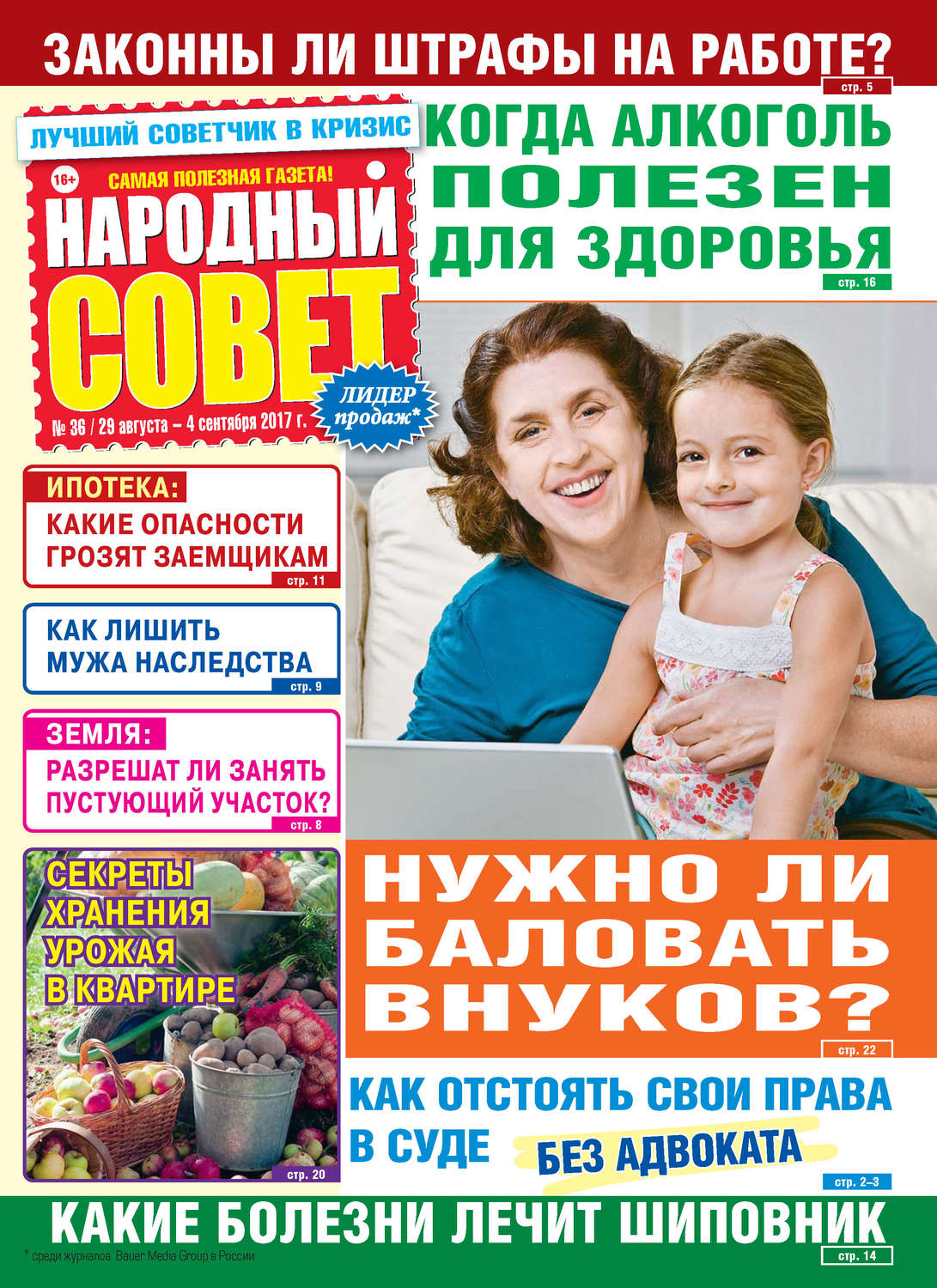 Обложка книги «Народный совет №36/2017»