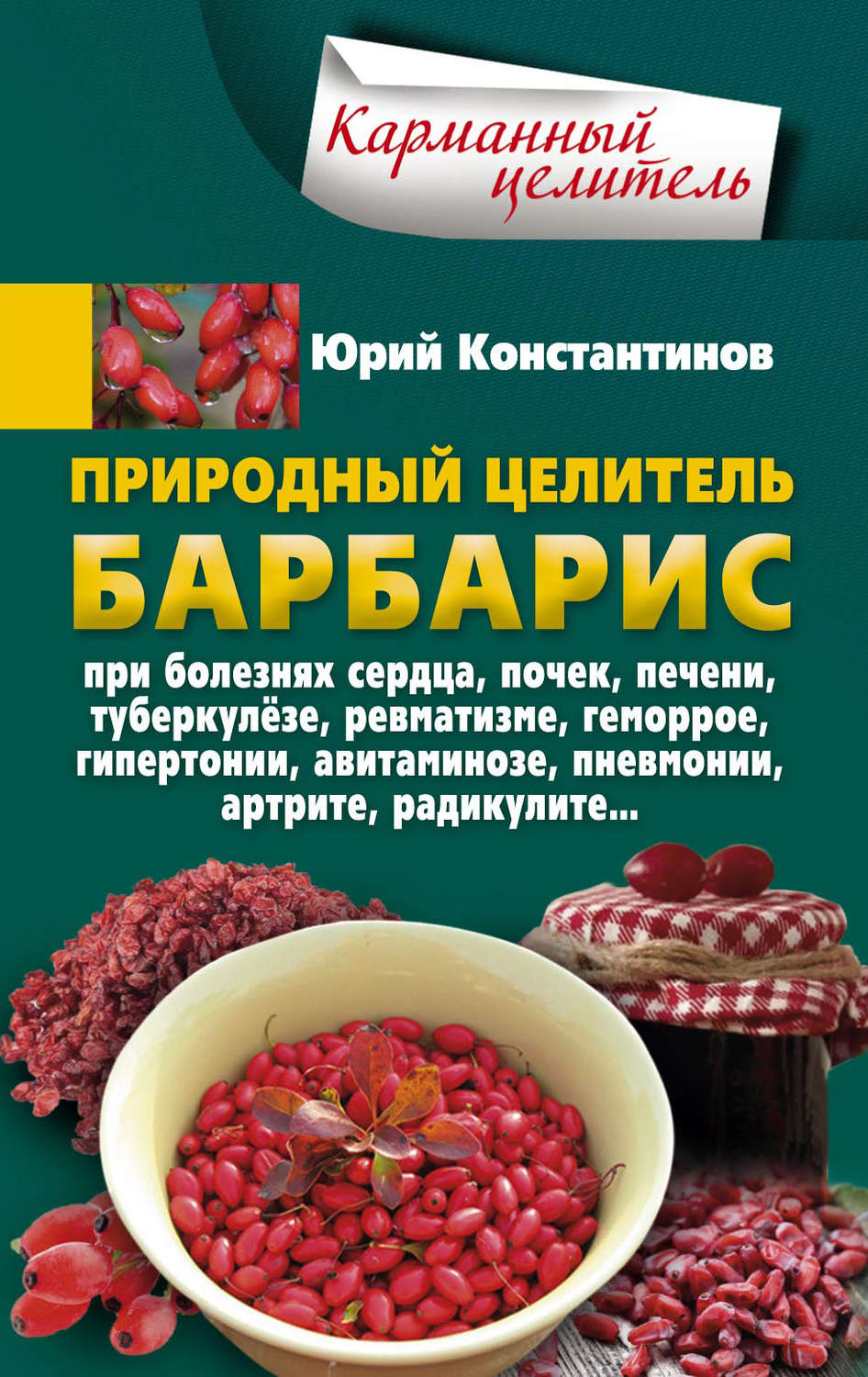 Обложка книги «Природный целитель барбарис. При болезнях сердца, почек, печени, туберкулёзе, ревматизме, геморрое, гипертонии, авитаминозе, пневмонии, артрите, радикулите»