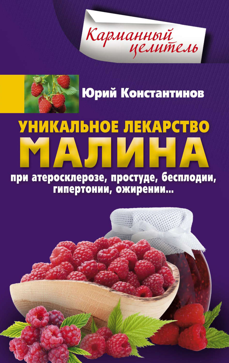 Обложка книги «Уникальное лекарство малина. При атеросклерозе, простуде, бесплодии, гипертонии, ожирении»