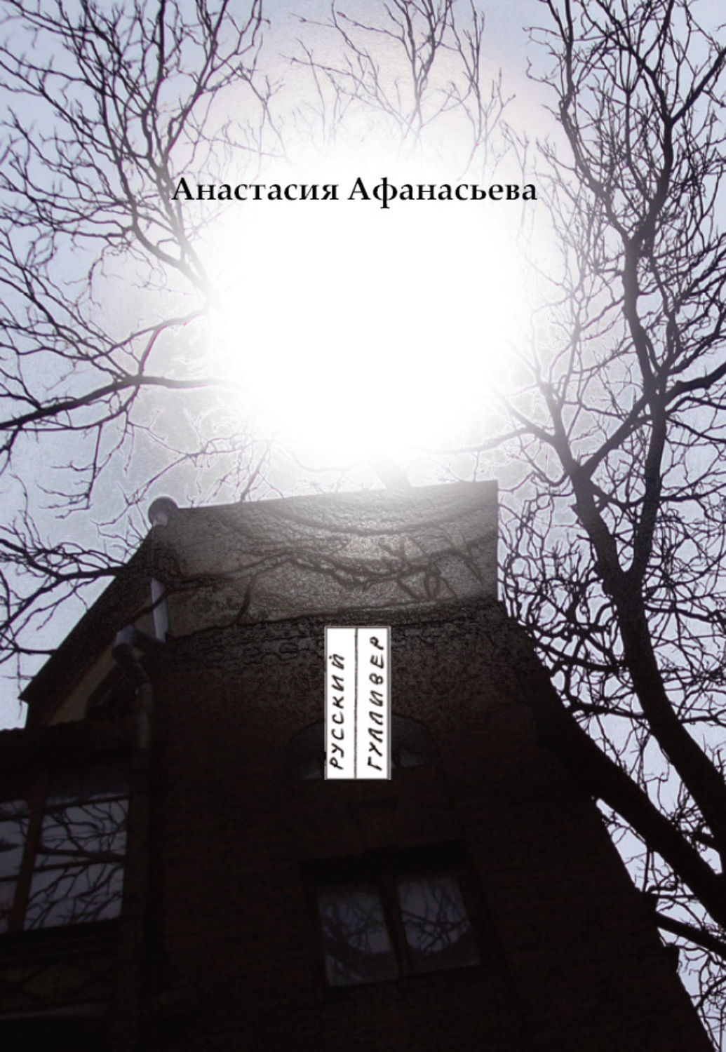 Обложка книги «Полый шар»