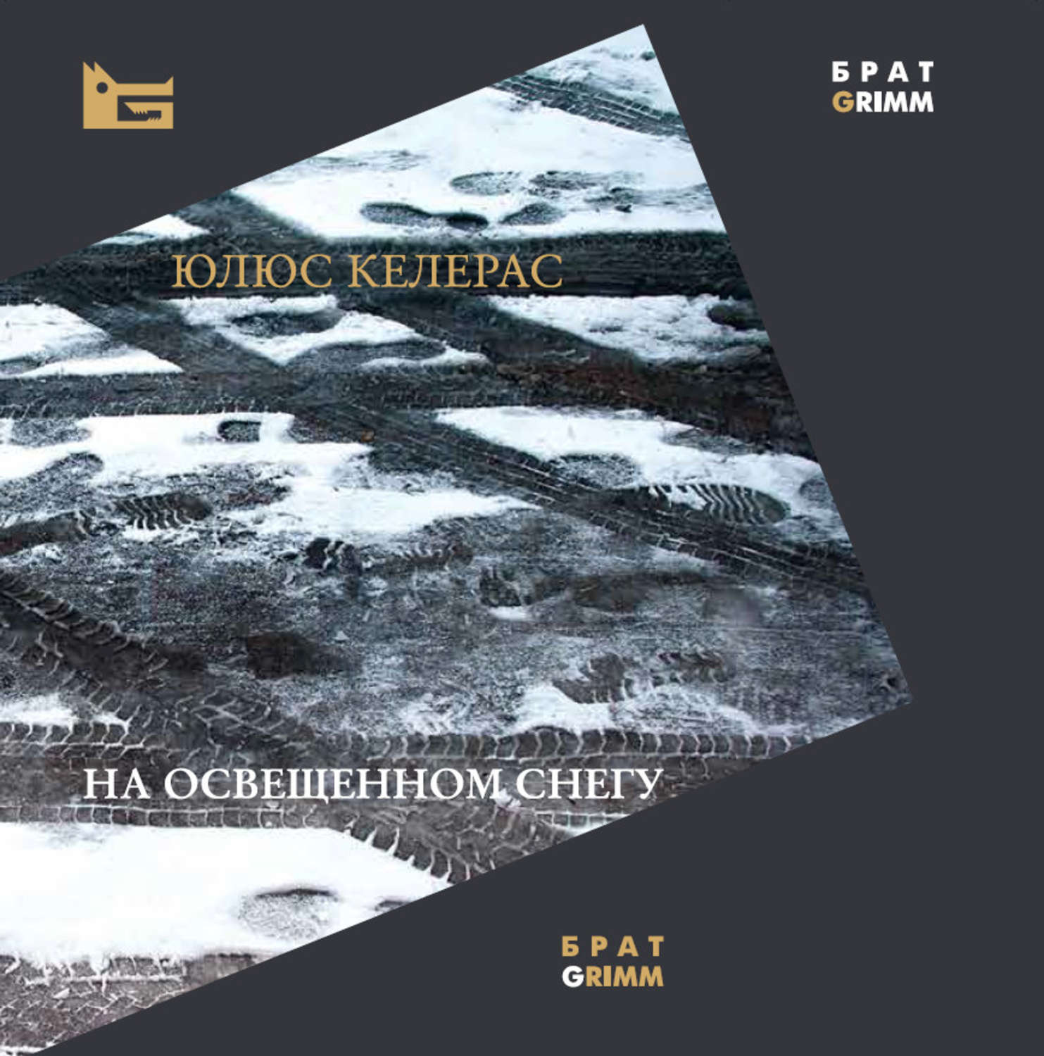 Обложка книги «На освещенном снегу»