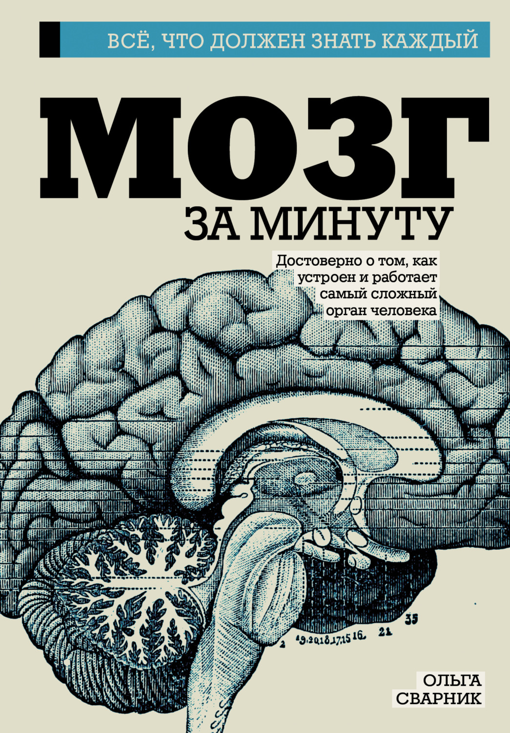 Обложка книги «Мозг за минуту»