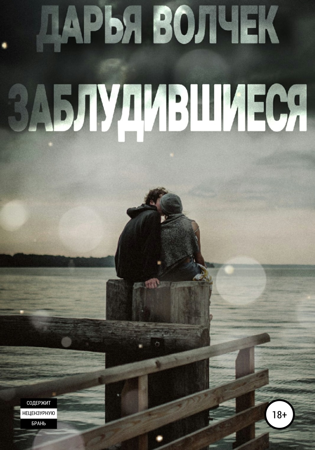 Обложка книги «Заблудившиеся»