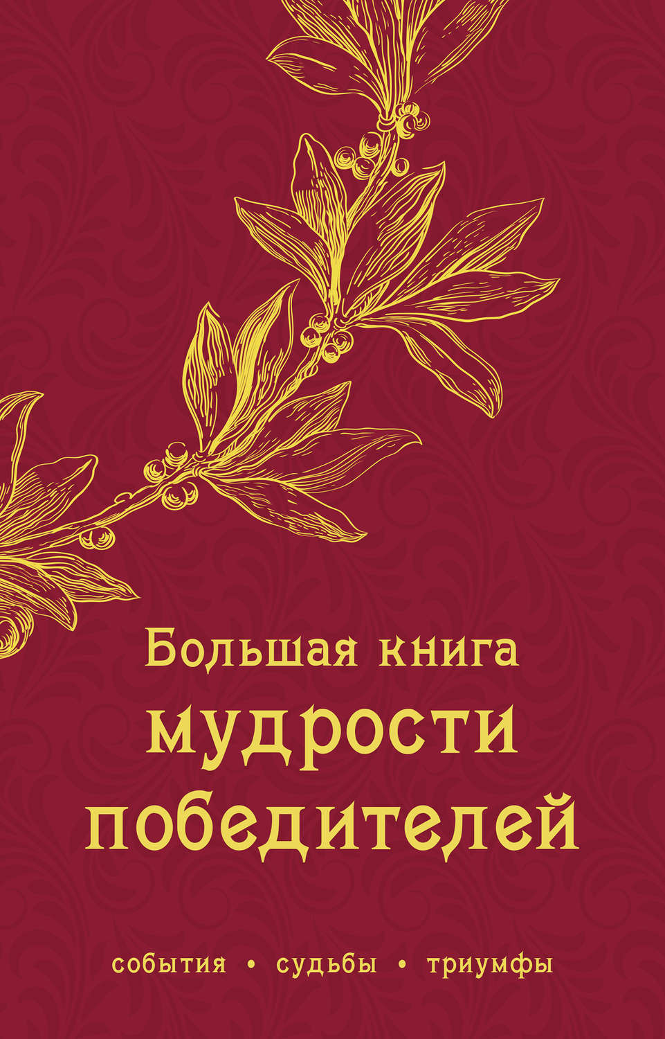 Обложка книги «Большая книга мудрости победителей»