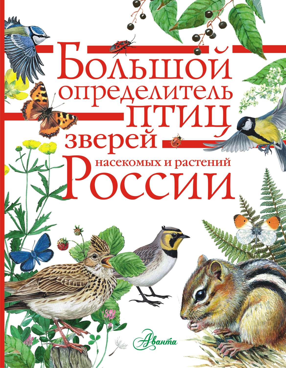 Обложка книги «Большой определитель птиц, зверей, насекомых и растений России»