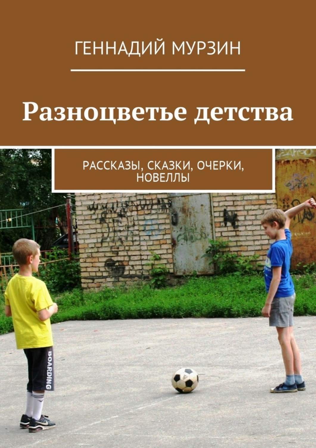 Обложка книги «Разноцветье детства. Рассказы, сказки, очерки, новеллы»