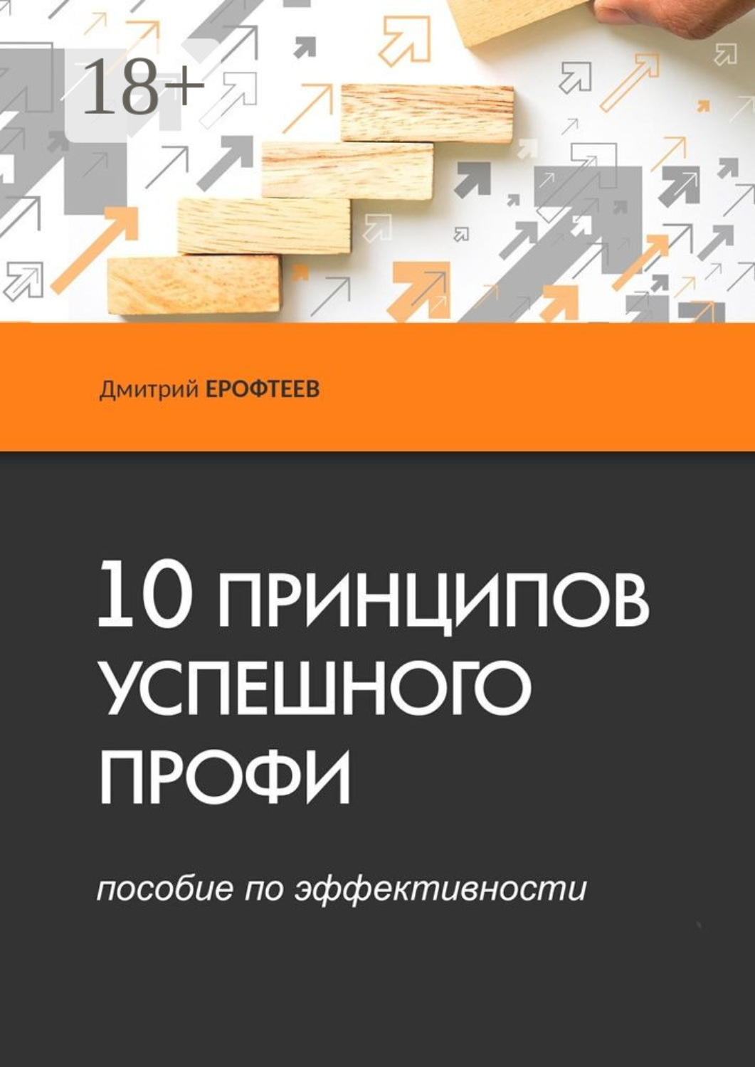 Обложка книги «10 принципов успешного профи. Пособие по эффективности»