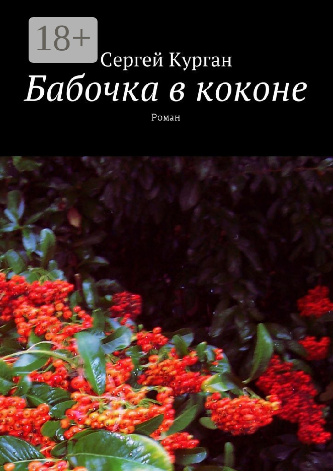 Обложка книги «Бабочка в коконе. Роман»