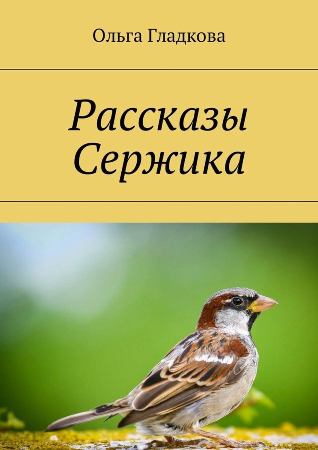 Обложка книги «Рассказы Сержика»