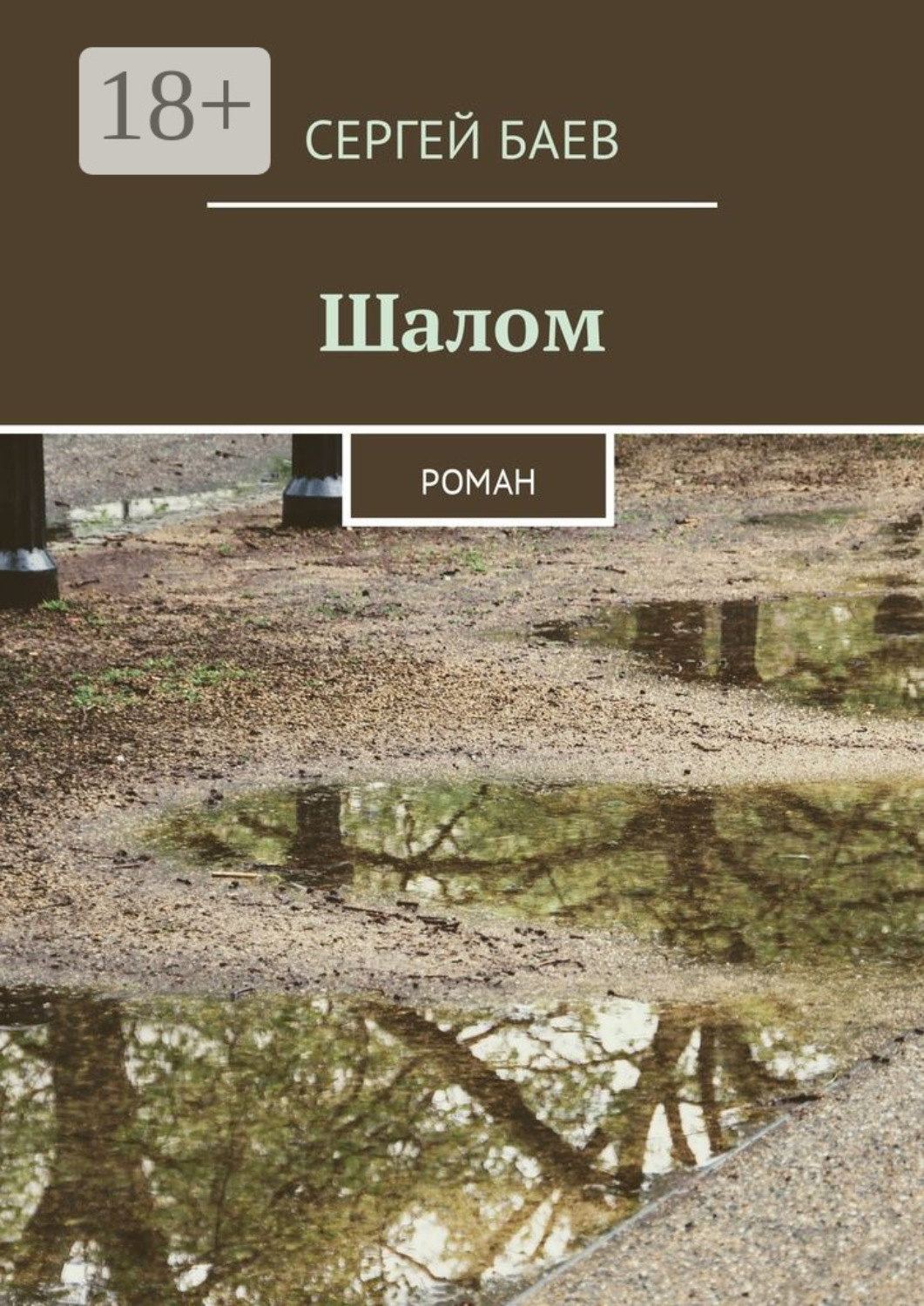 Обложка книги «Шалом. Роман»