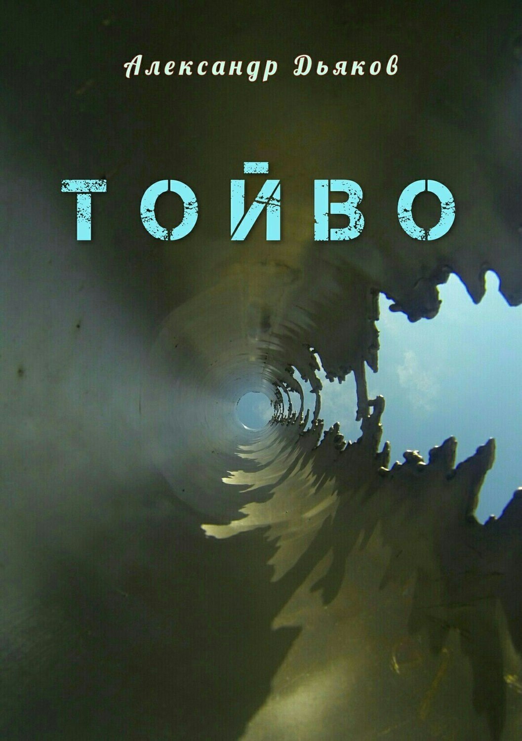 Обложка книги «Тойво»