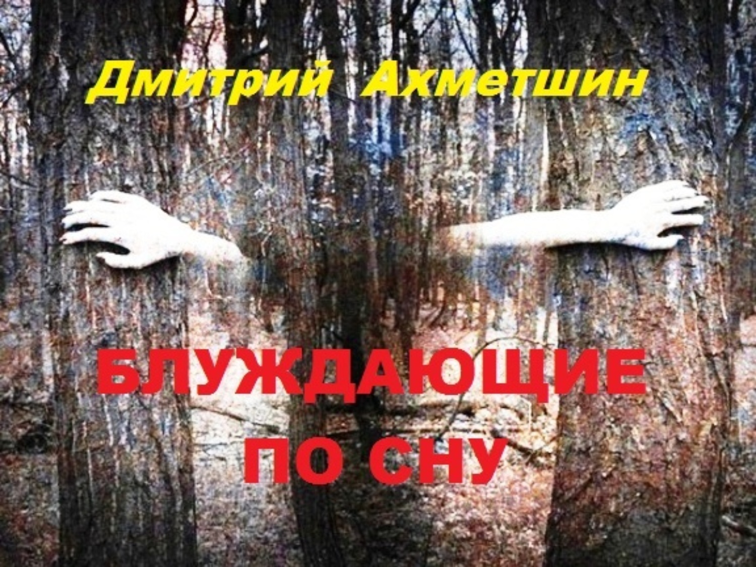 Обложка книги «Блуждающие по сну»