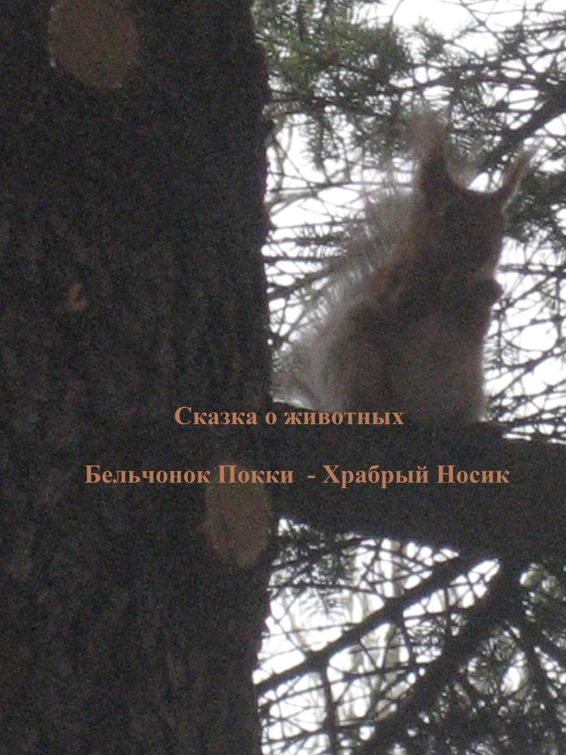 Обложка книги «Бельчонок Покки. Храбрый носик»