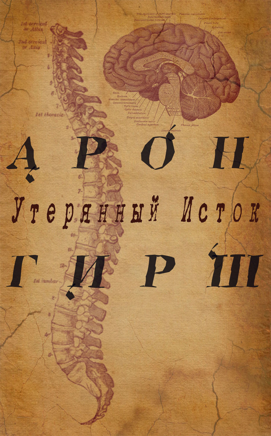 Обложка книги «Арон Гирш. Утерянный исток»